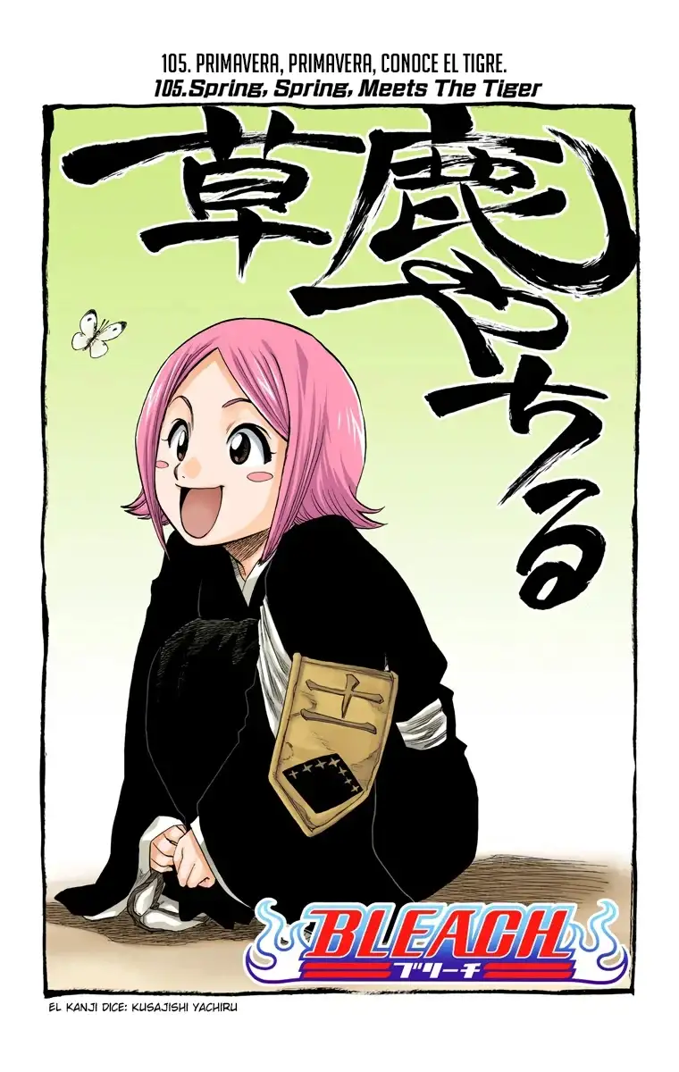 Bleach Capitulo 105 page 9