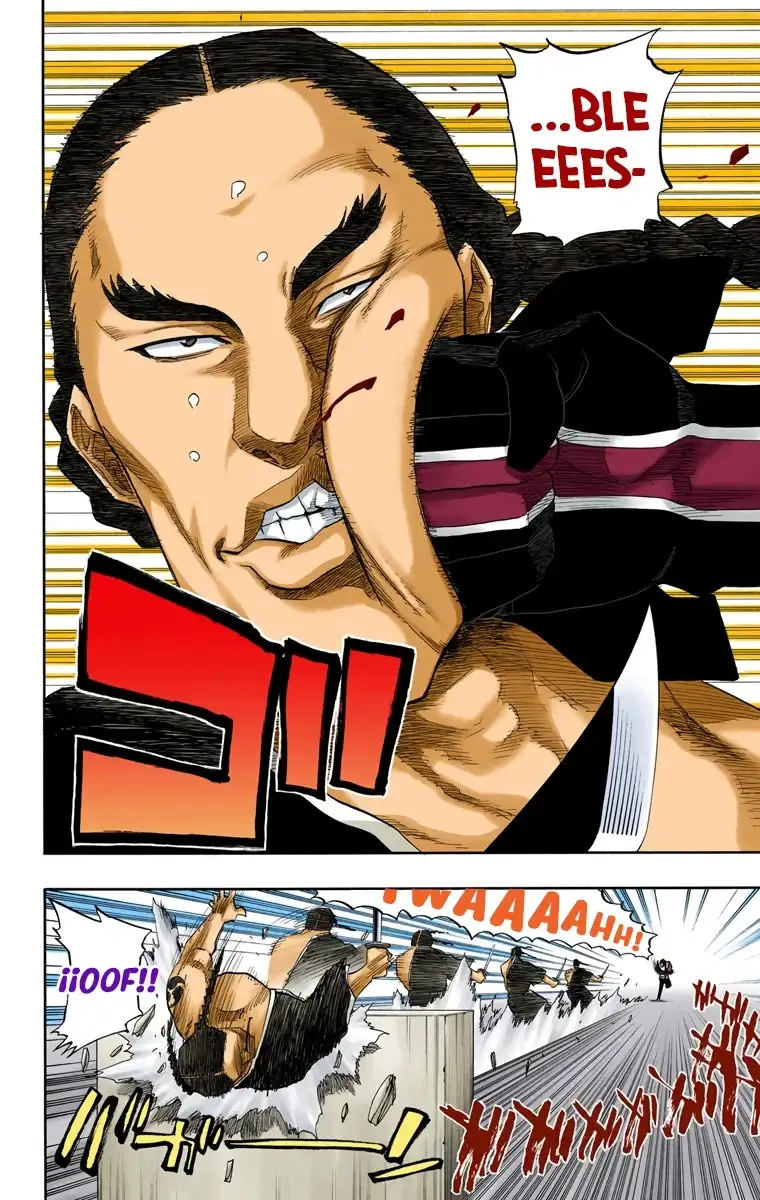Bleach Capitulo 105 page 14