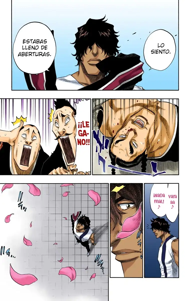 Bleach Capitulo 105 page 15