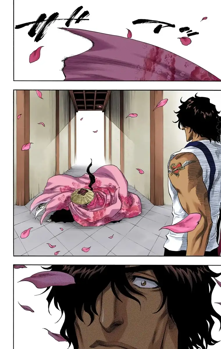 Bleach Capitulo 105 page 16