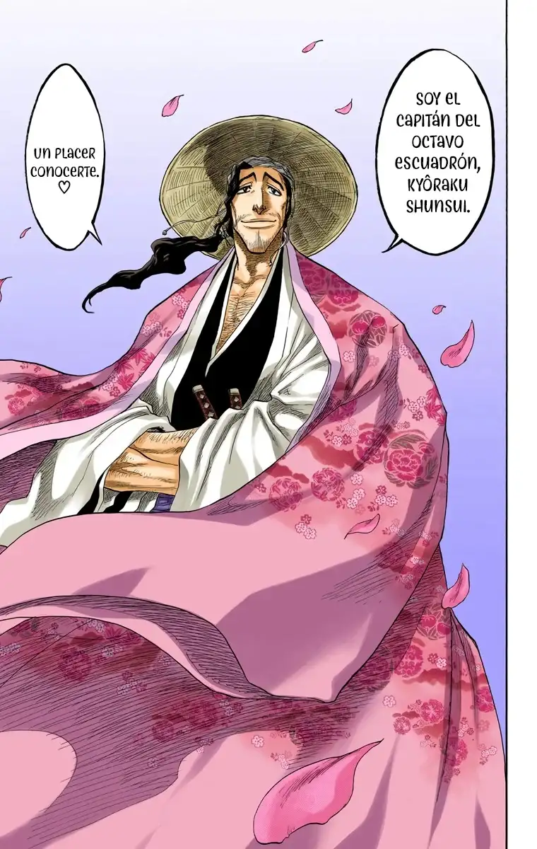 Bleach Capitulo 105 page 17