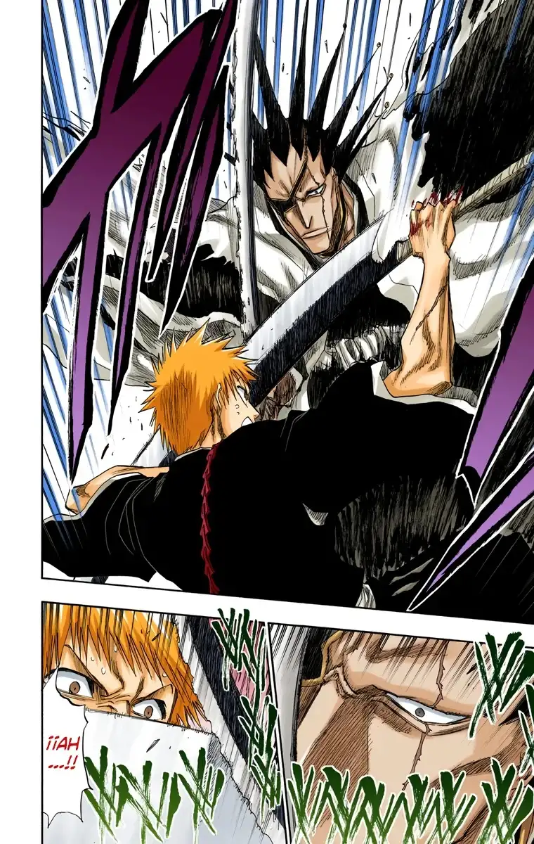 Bleach Capitulo 108 page 14