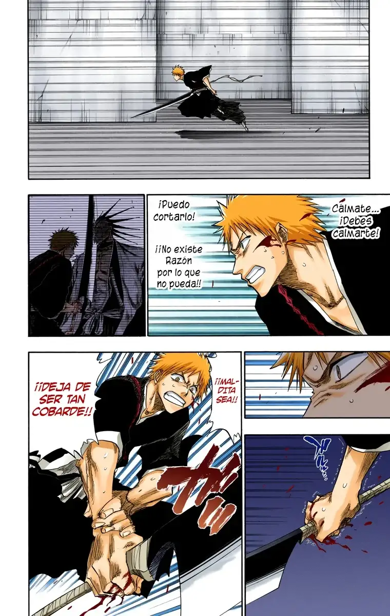Bleach Capitulo 108 page 16