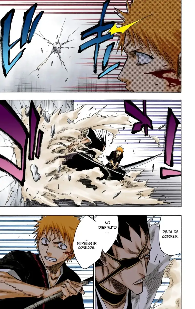 Bleach Capitulo 108 page 17