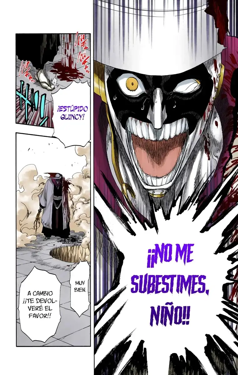 Bleach Capitulo 125 page 12