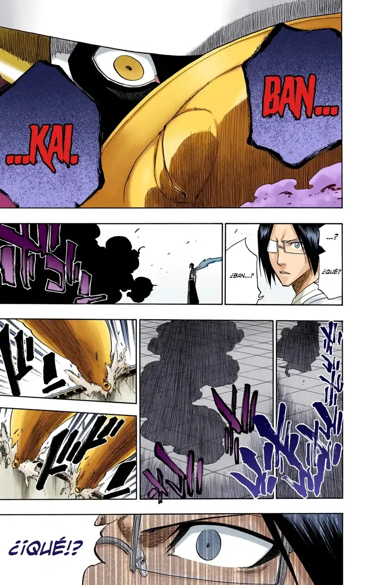 Bleach Capitulo 125 page 13