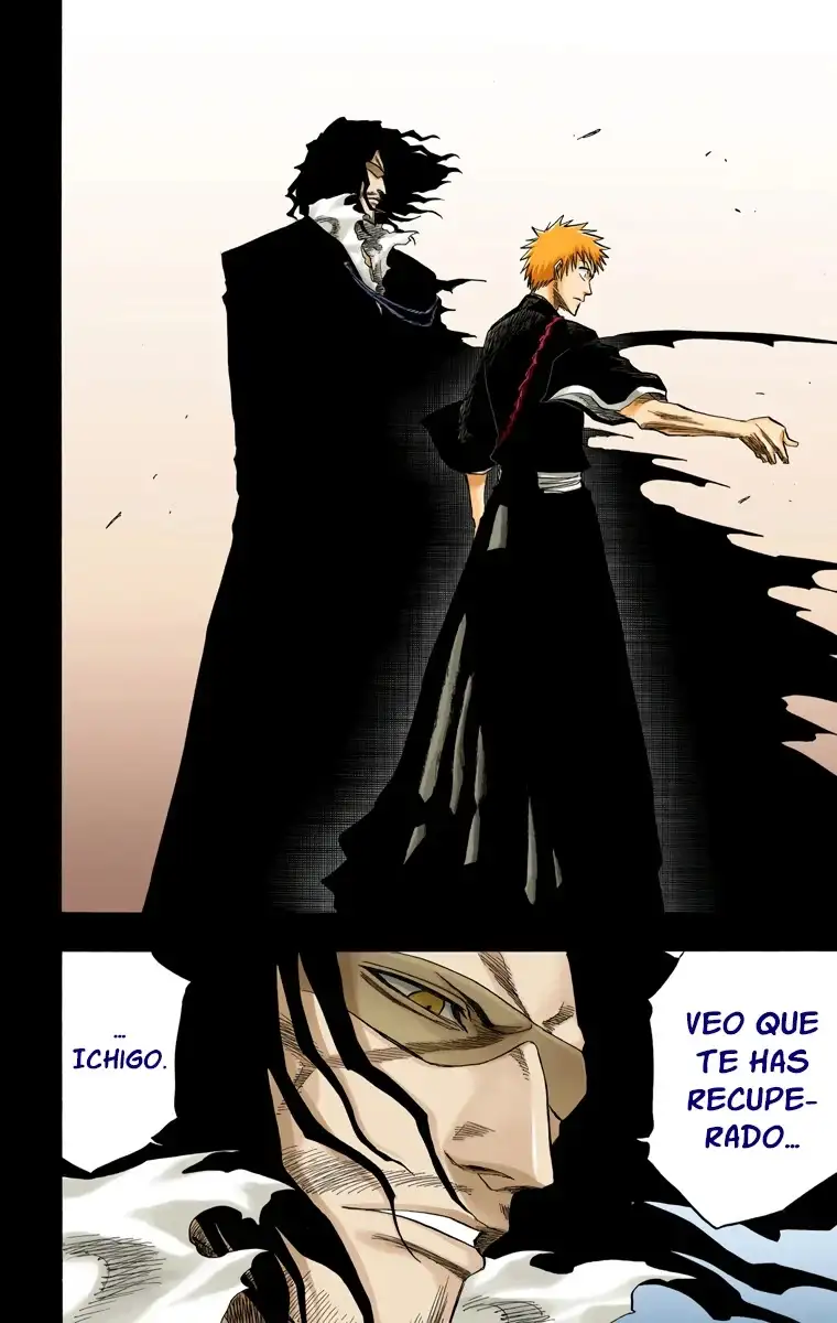 Bleach Capitulo 127 page 8