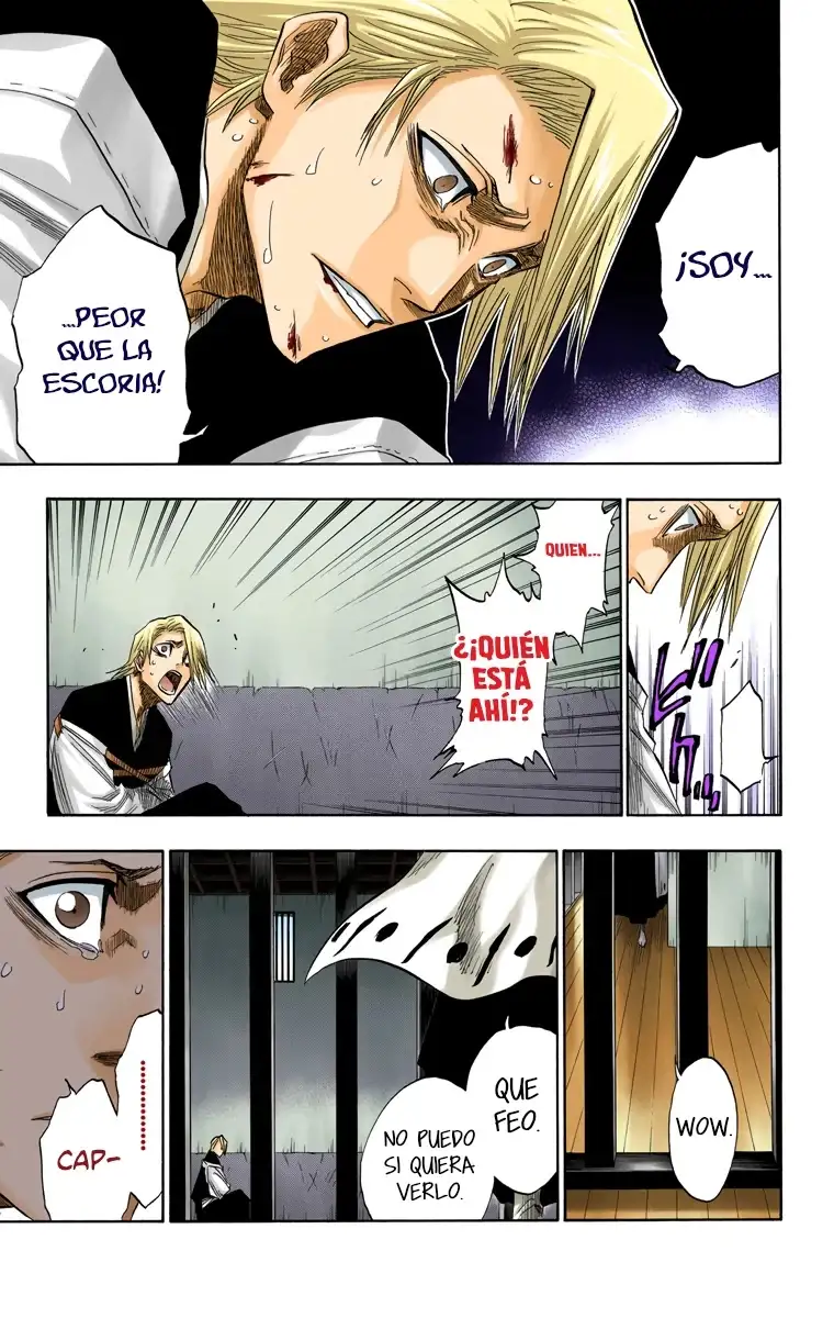 Bleach Capitulo 127 page 14