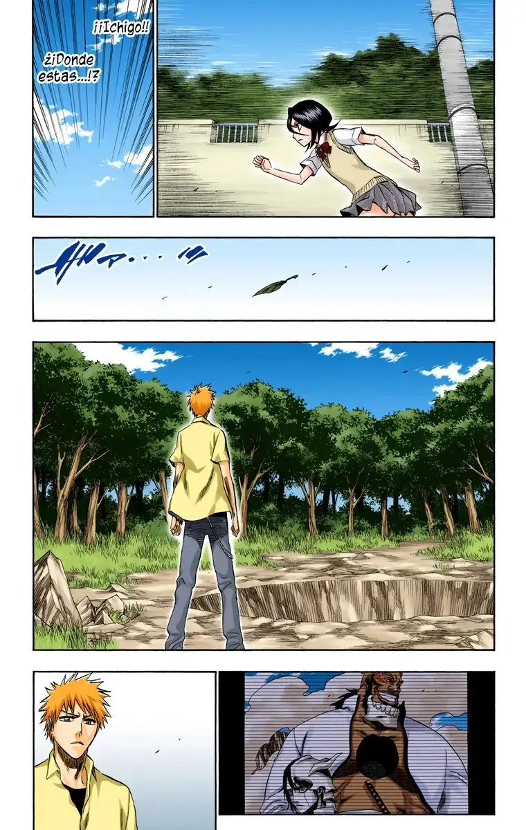 Bleach Capitulo 214 page 10