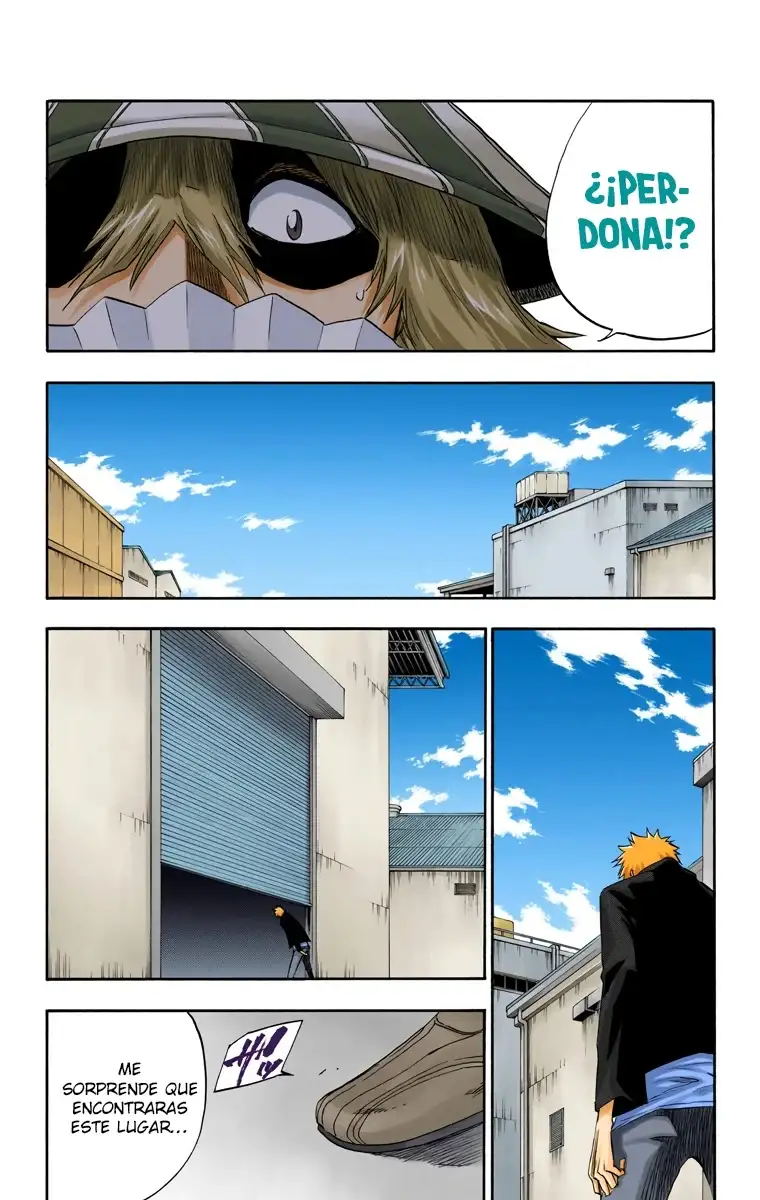 Bleach Capitulo 214 page 17