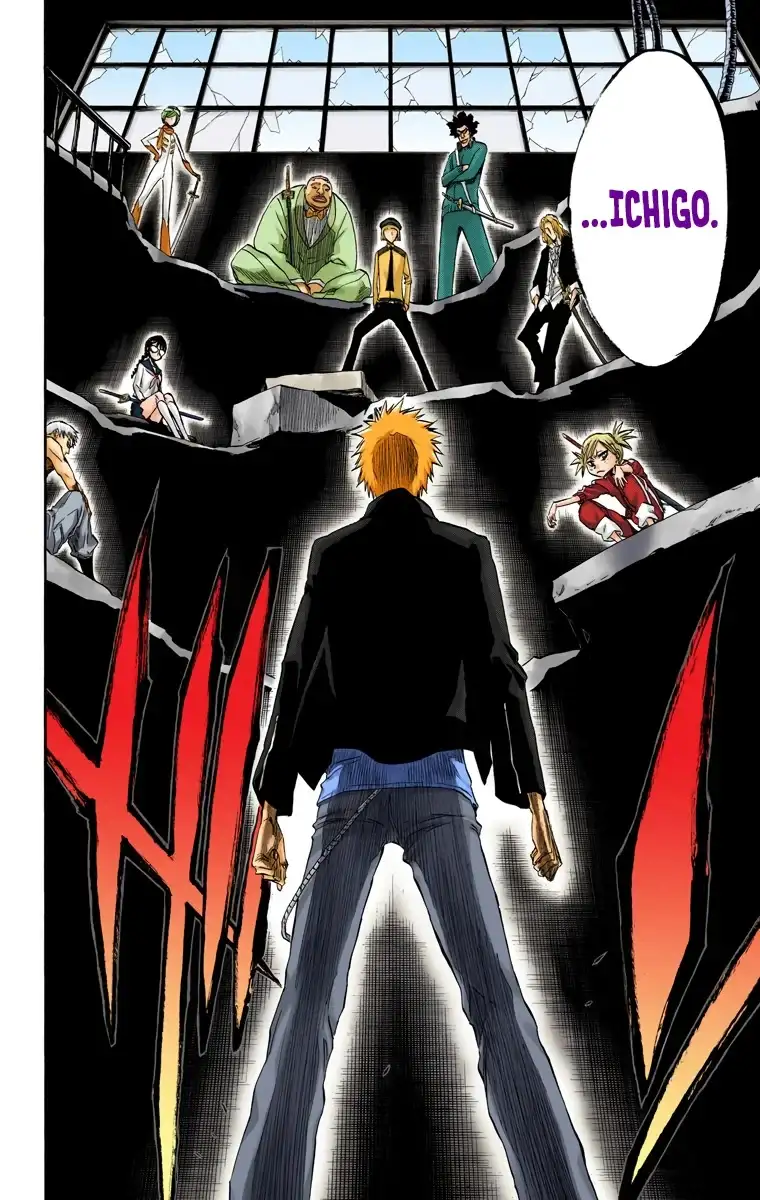 Bleach Capitulo 214 page 18