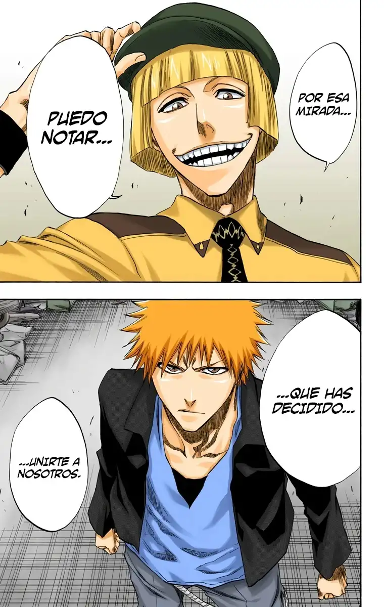 Bleach Capitulo 214 page 19
