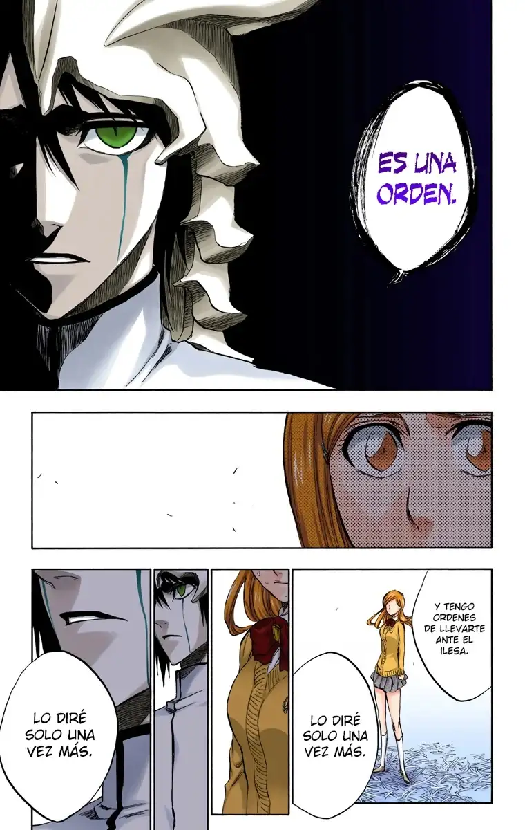 Bleach Capitulo 234 page 13