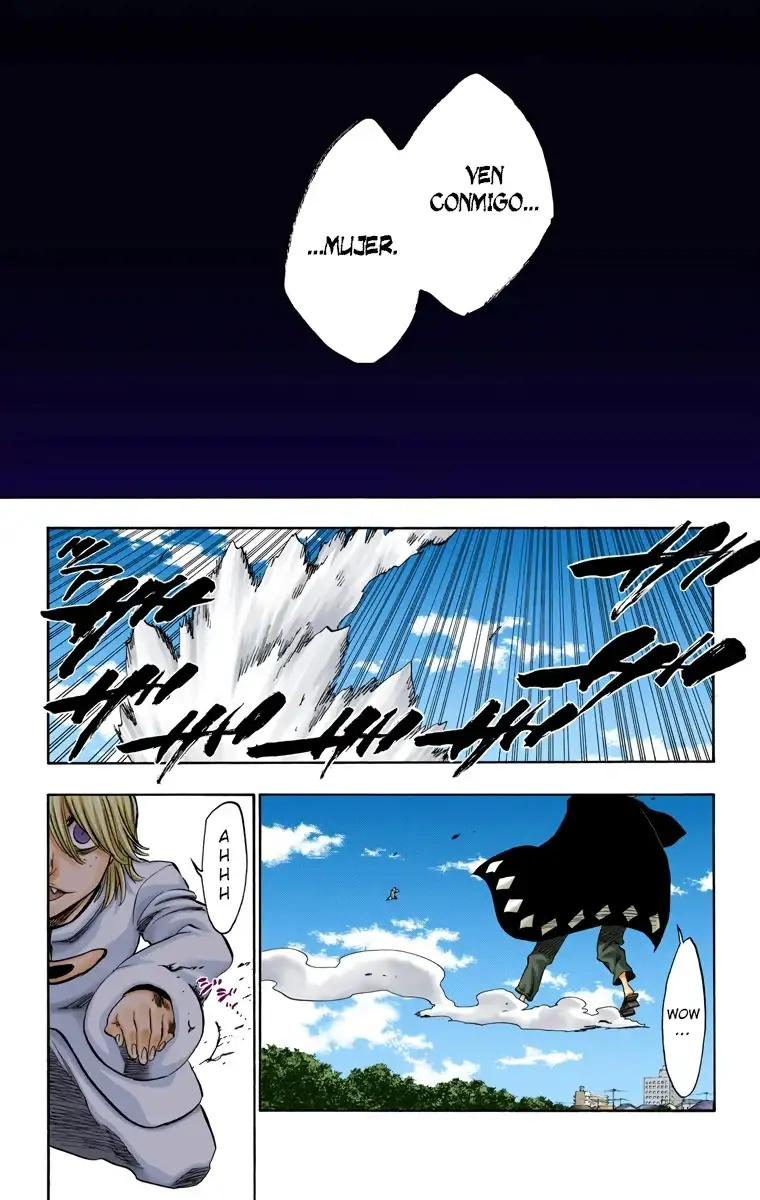 Bleach Capitulo 234 page 14