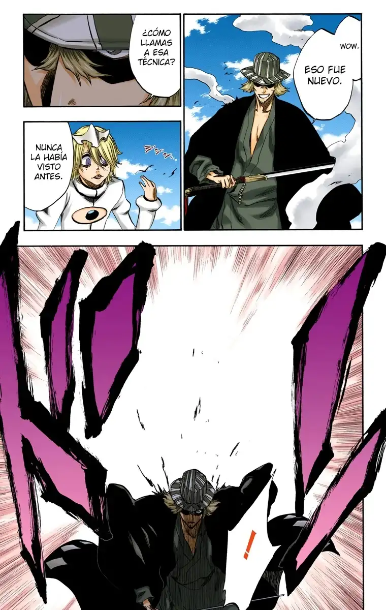 Bleach Capitulo 234 page 15