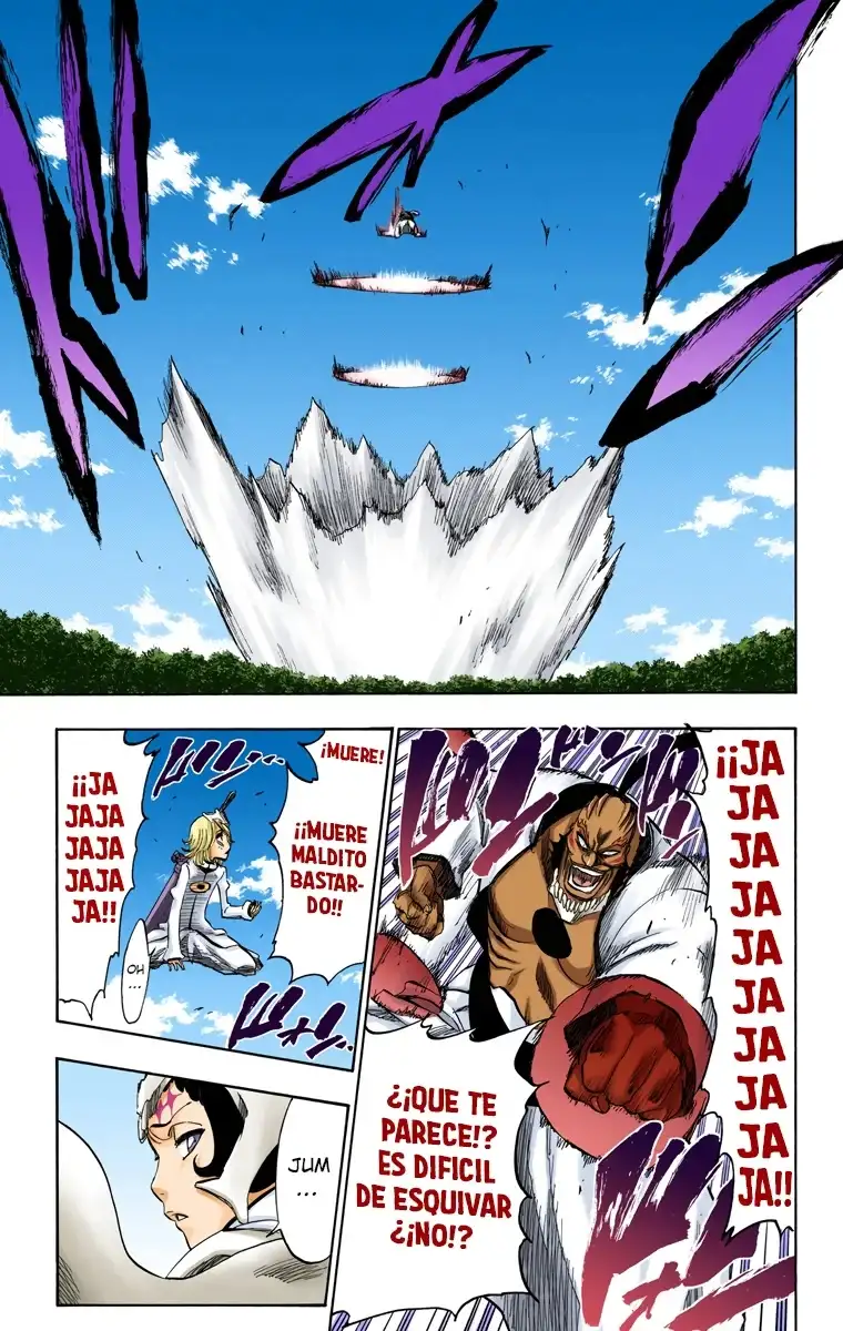 Bleach Capitulo 234 page 17