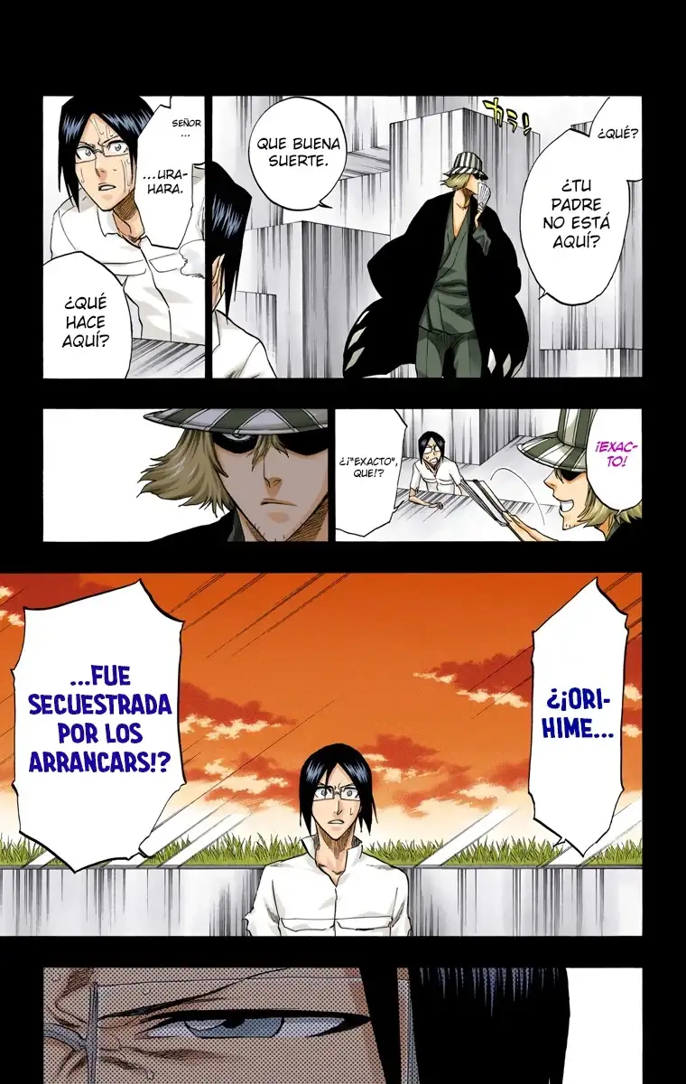 Bleach Capitulo 241 page 5