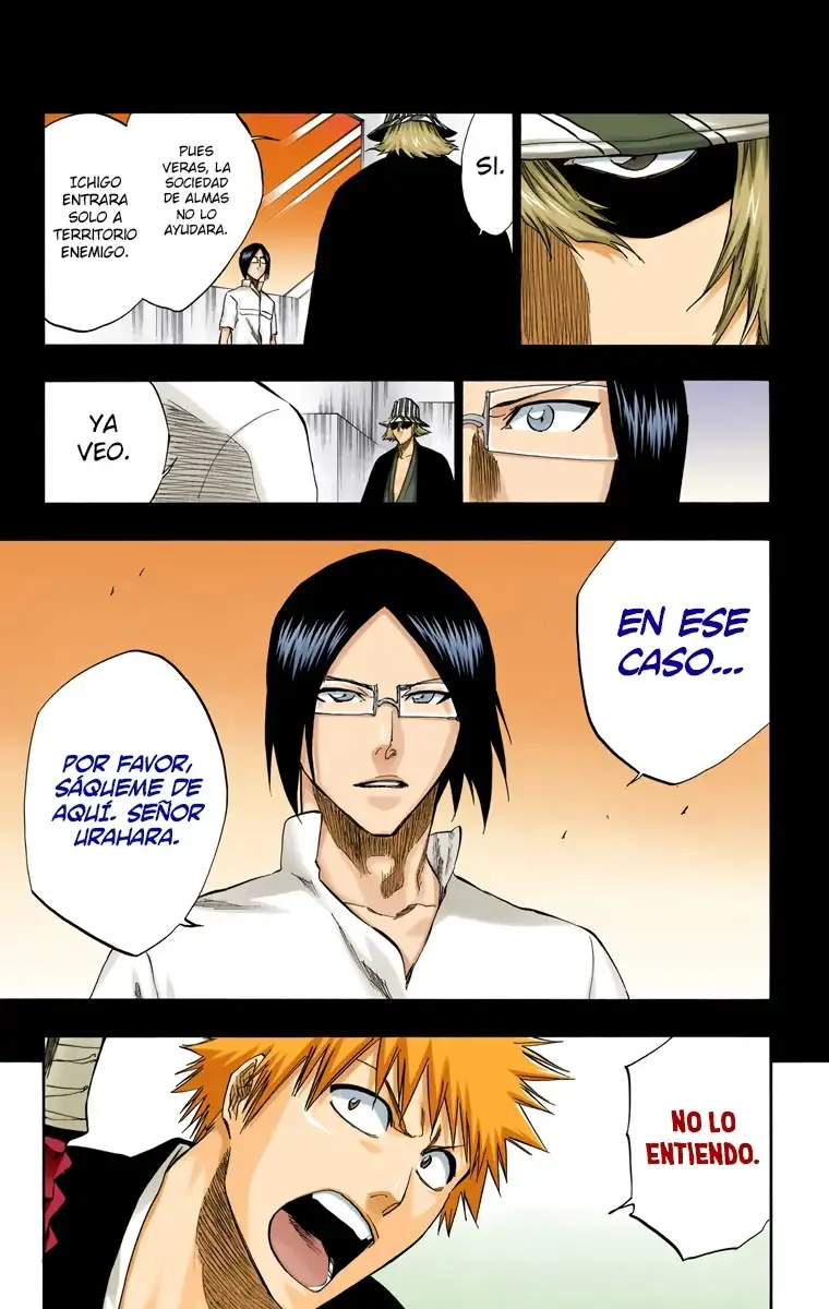 Bleach Capitulo 241 page 7