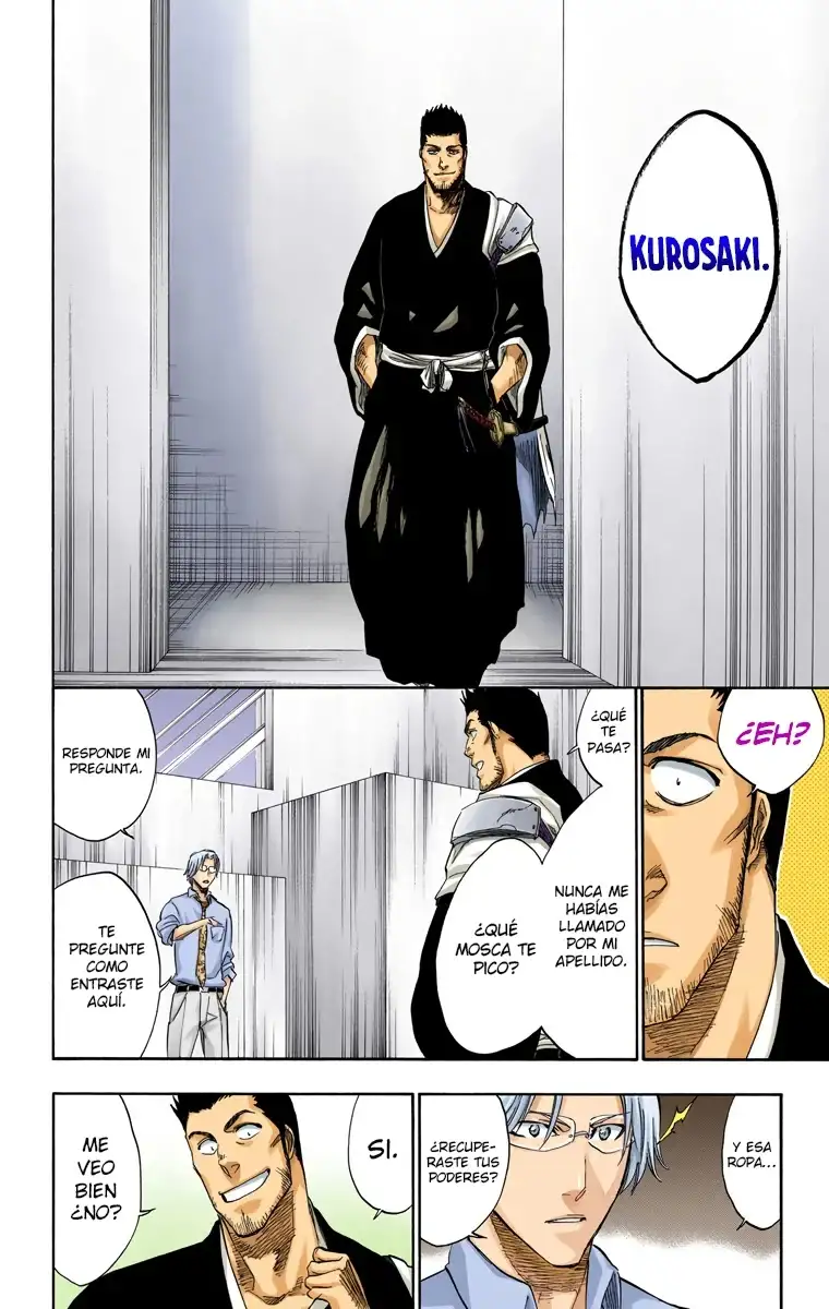 Bleach Capitulo 241 page 10
