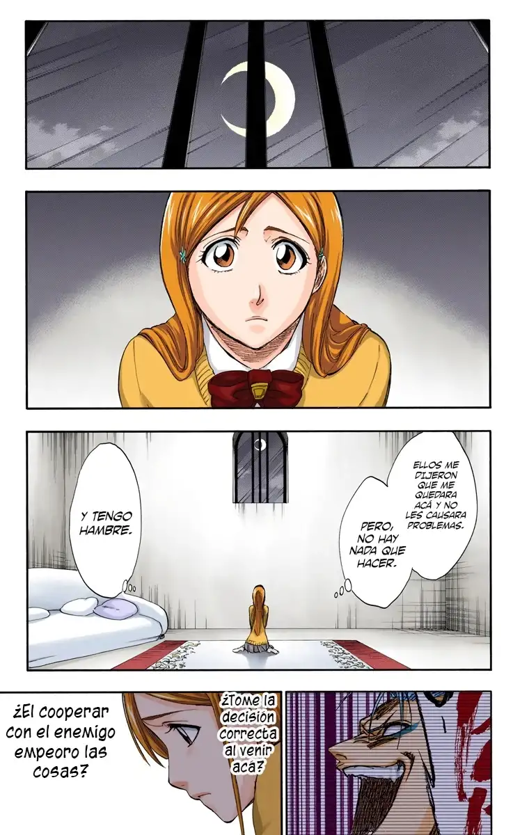 Bleach Capitulo 241 page 13