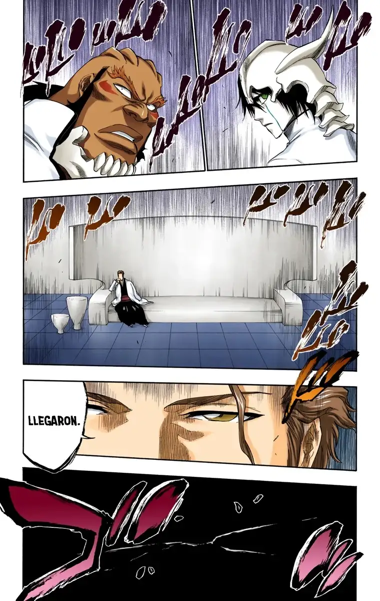 Bleach Capitulo 241 page 15