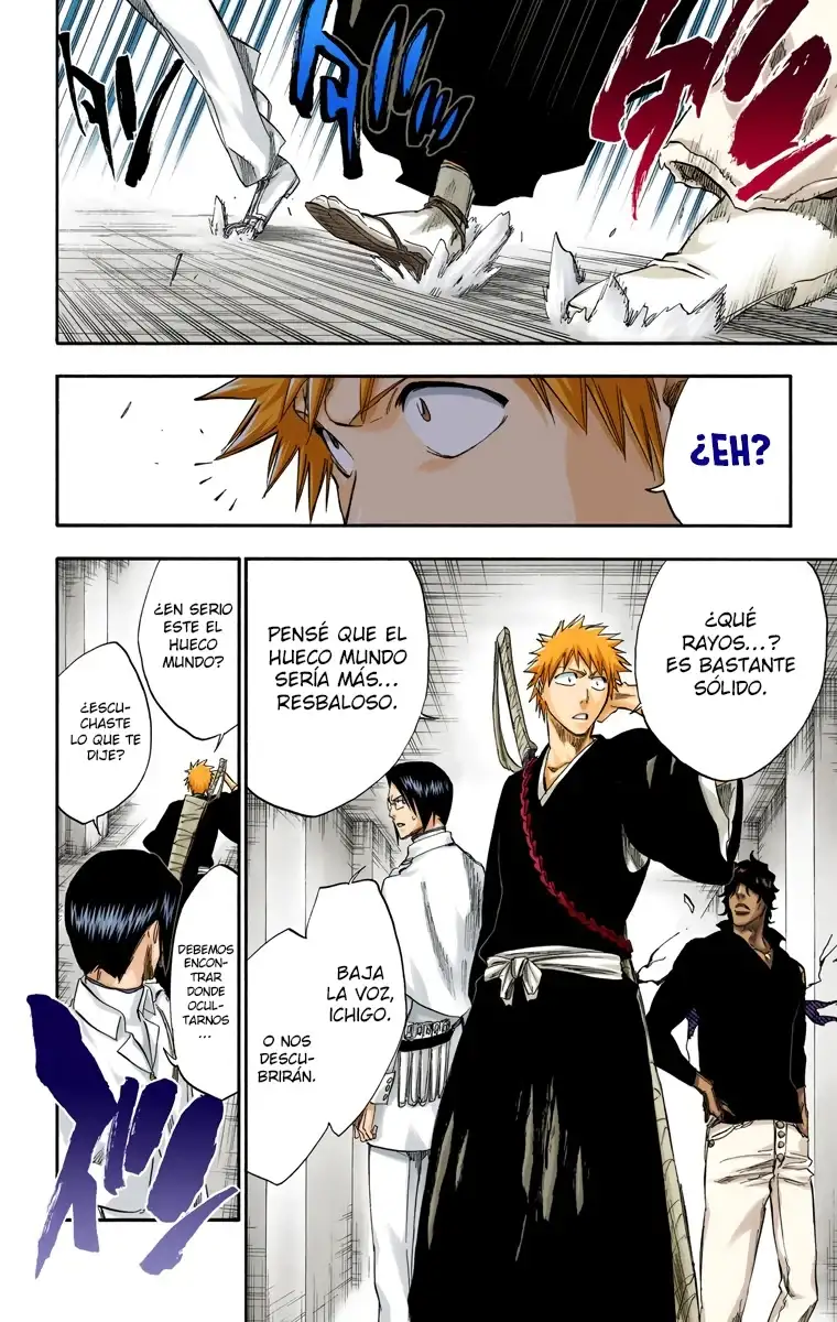 Bleach Capitulo 241 page 17