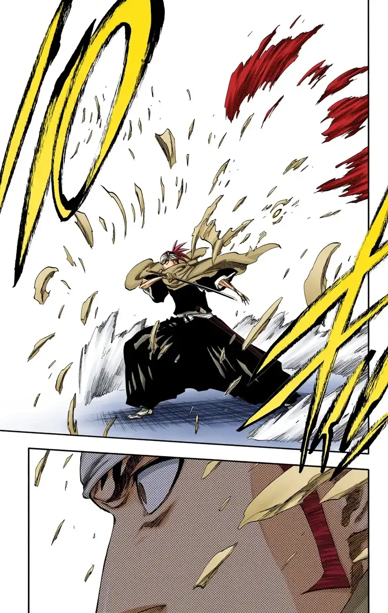 Bleach Capitulo 265 page 10