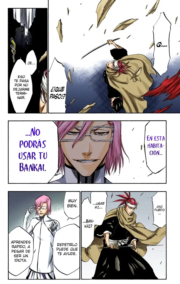 Bleach Capitulo 265 page 11