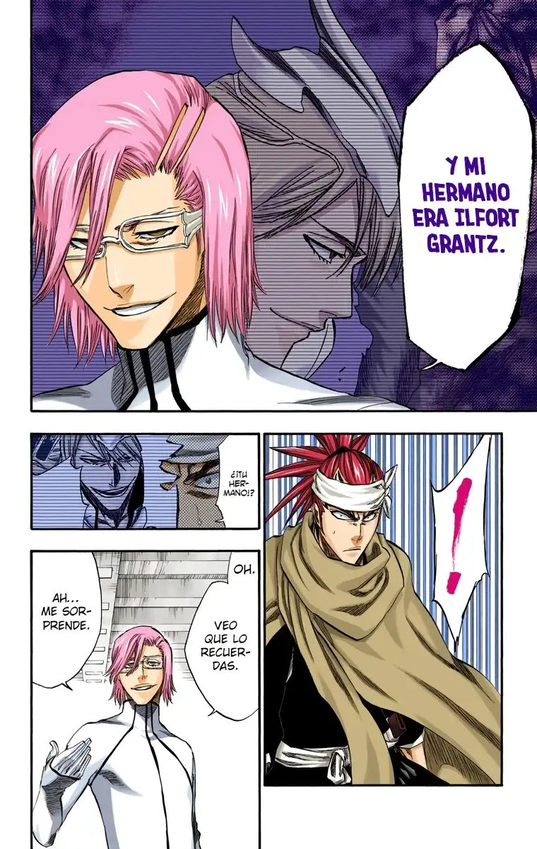Bleach Capitulo 265 page 13