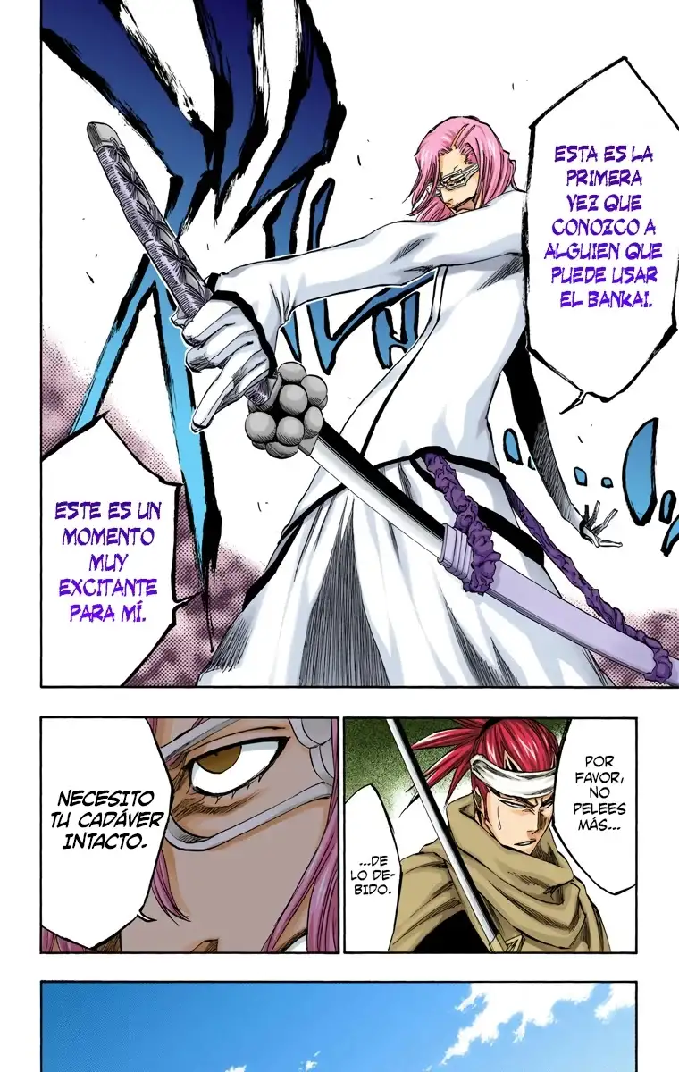 Bleach Capitulo 265 page 15