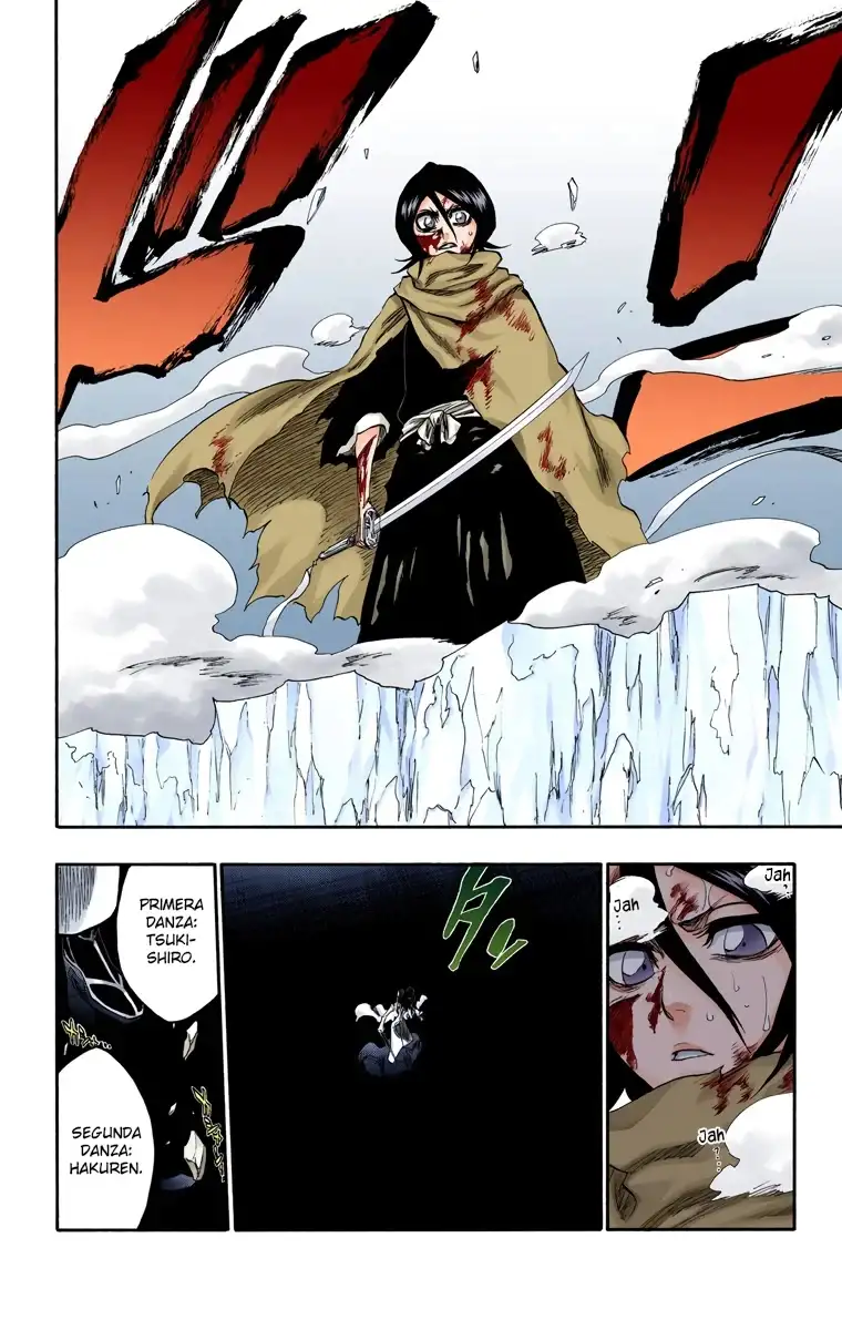 Bleach Capitulo 265 page 17