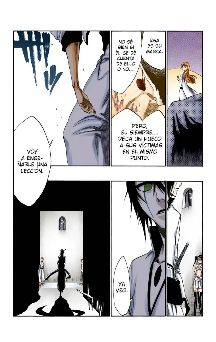 Bleach Capitulo 277 page 13
