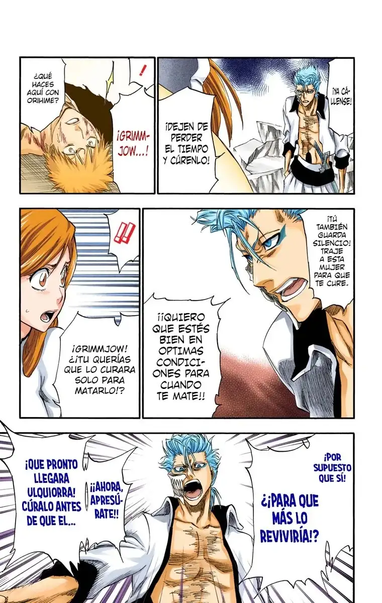 Bleach Capitulo 277 page 17