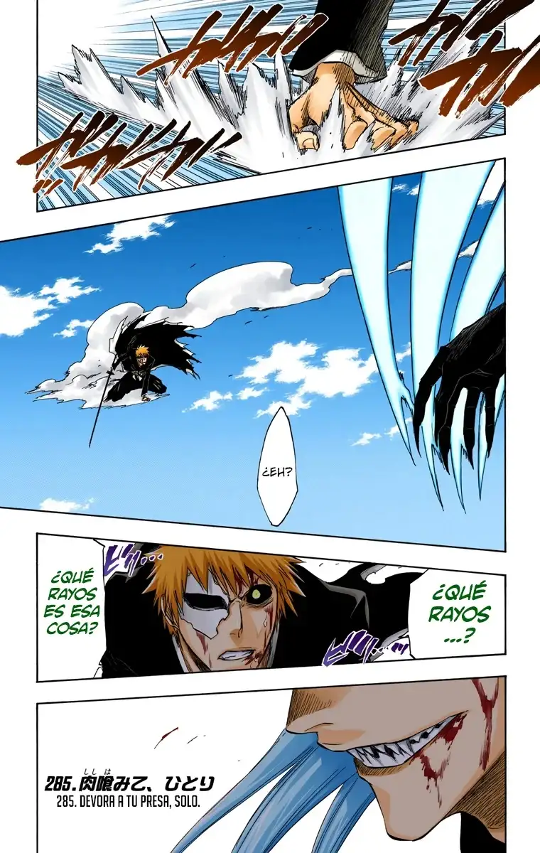 Bleach Capitulo 285 page 1