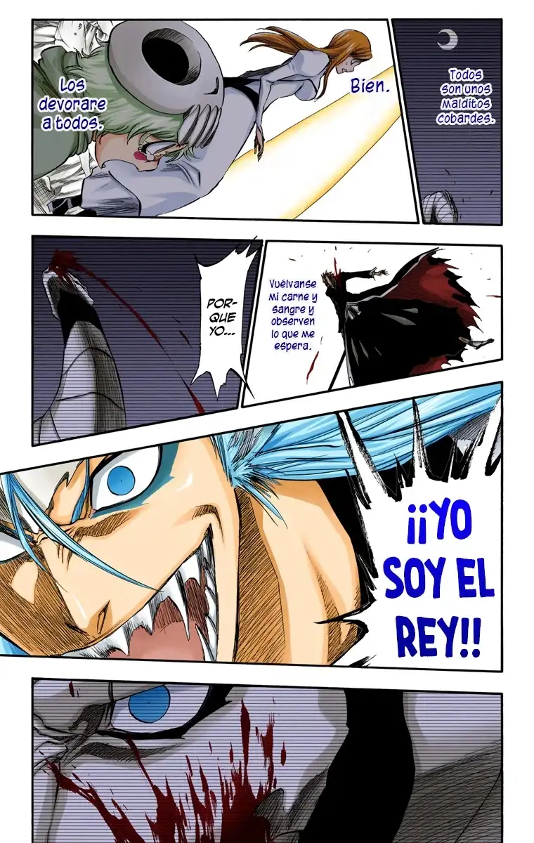 Bleach Capitulo 285 page 10