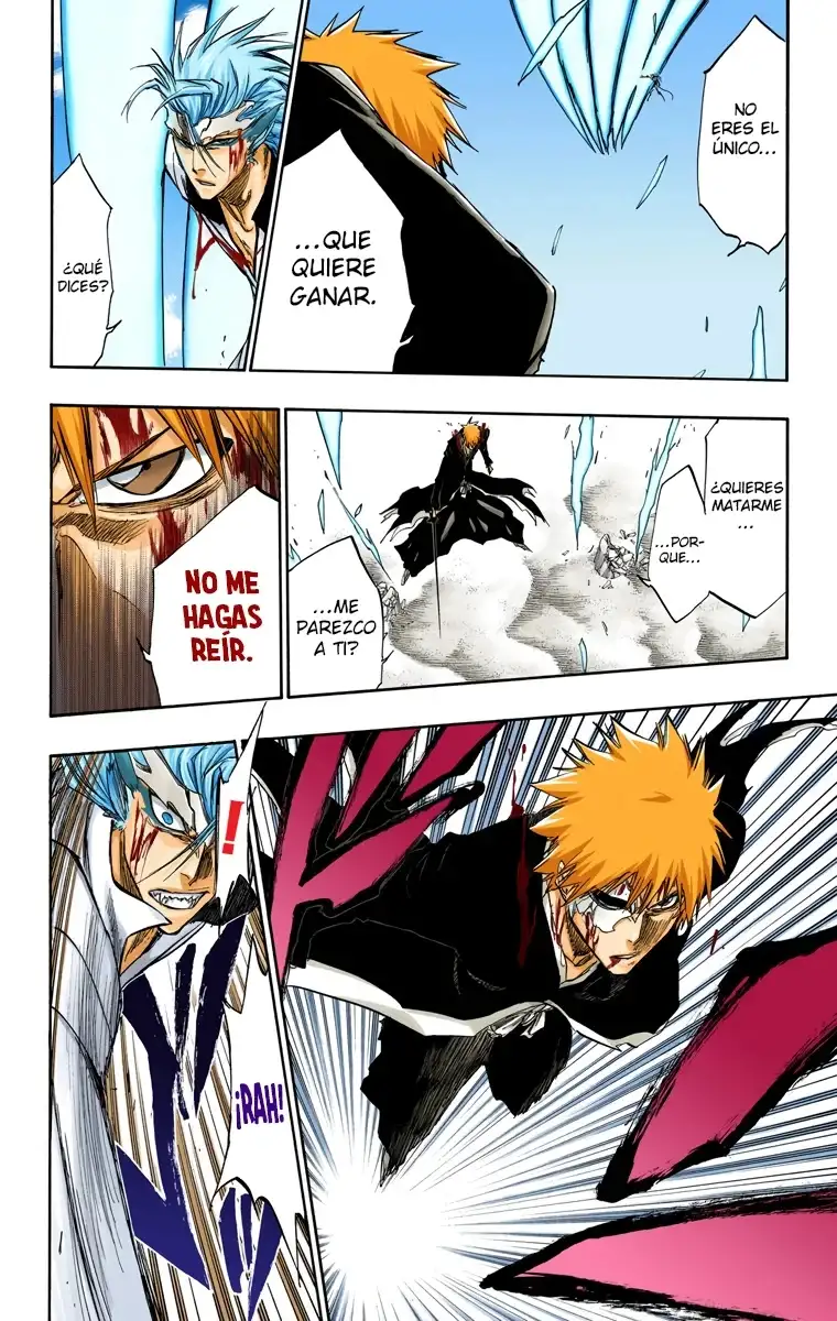 Bleach Capitulo 285 page 13