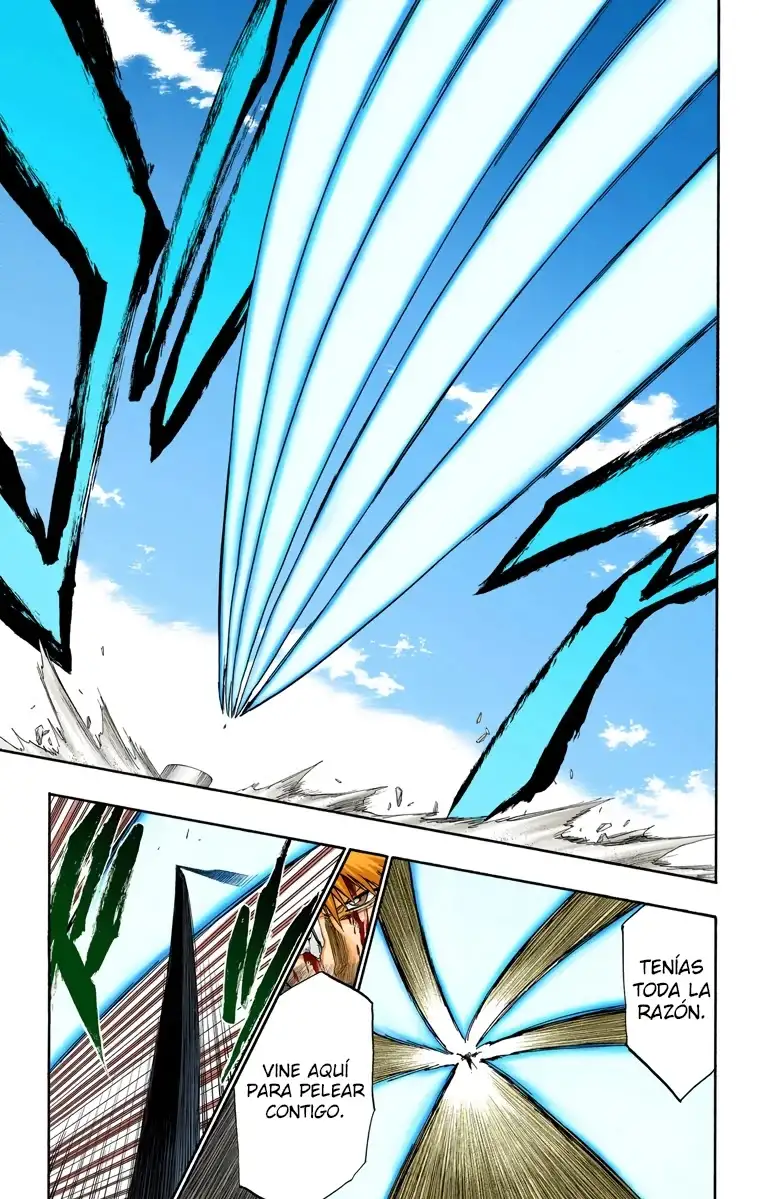 Bleach Capitulo 285 page 14
