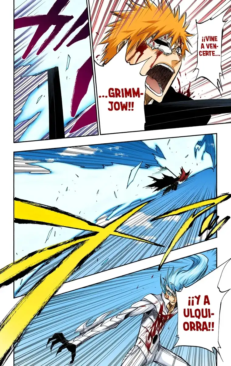 Bleach Capitulo 285 page 15