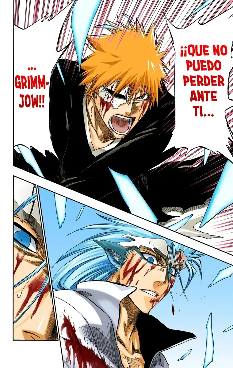 Bleach Capitulo 285 page 17
