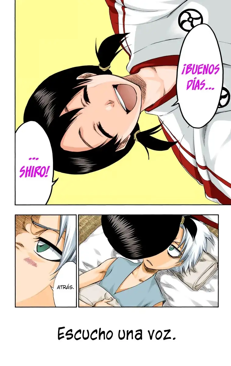 Bleach Capitulo 286.5 page 4
