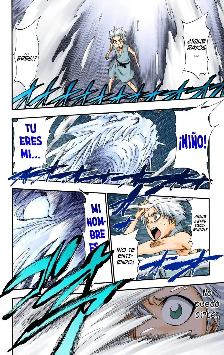 Bleach Capitulo 286.5 page 17