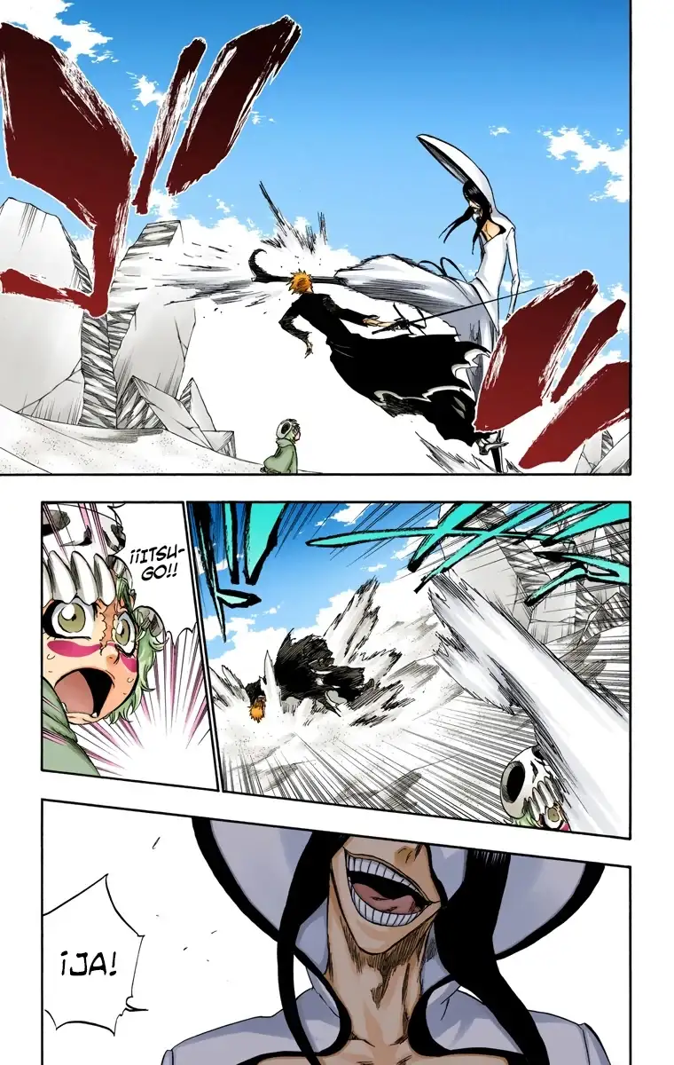 Bleach Capitulo 290 page 7