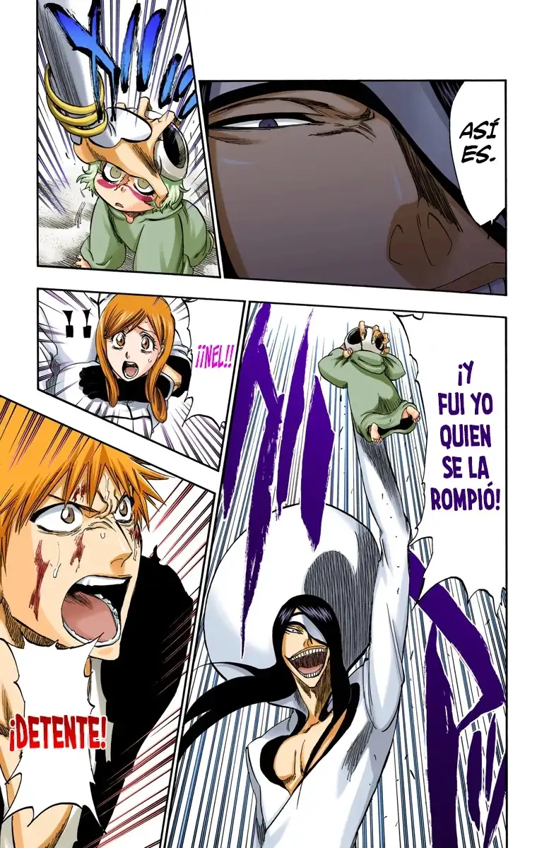 Bleach Capitulo 290 page 9
