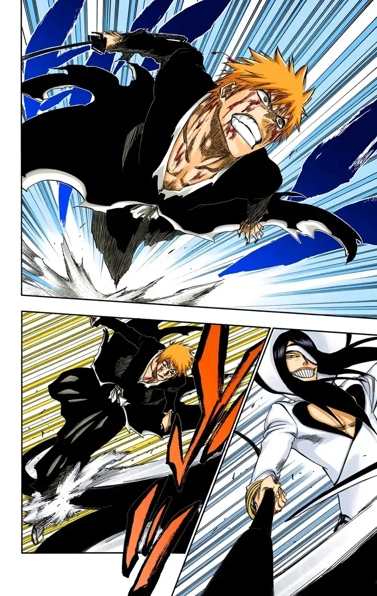 Bleach Capitulo 290 page 10