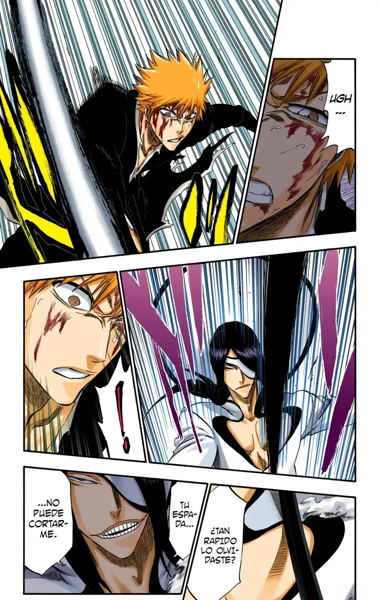 Bleach Capitulo 290 page 11