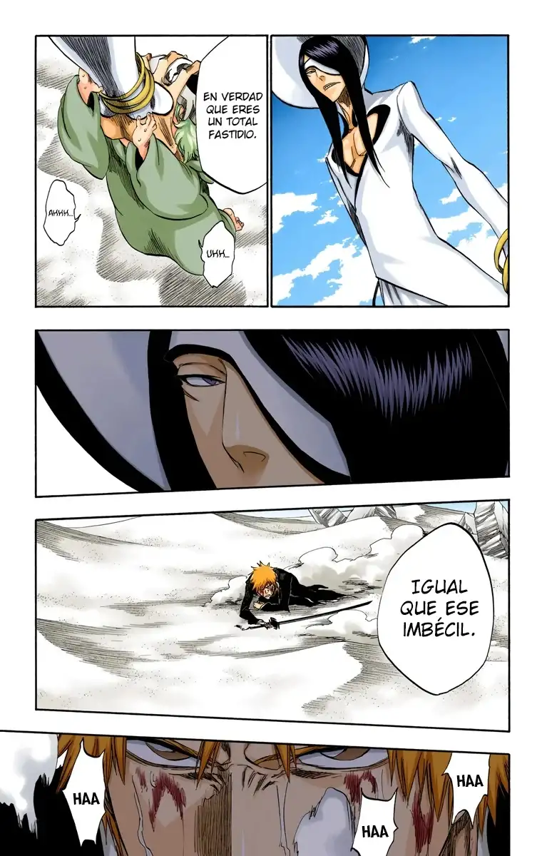 Bleach Capitulo 290 page 13
