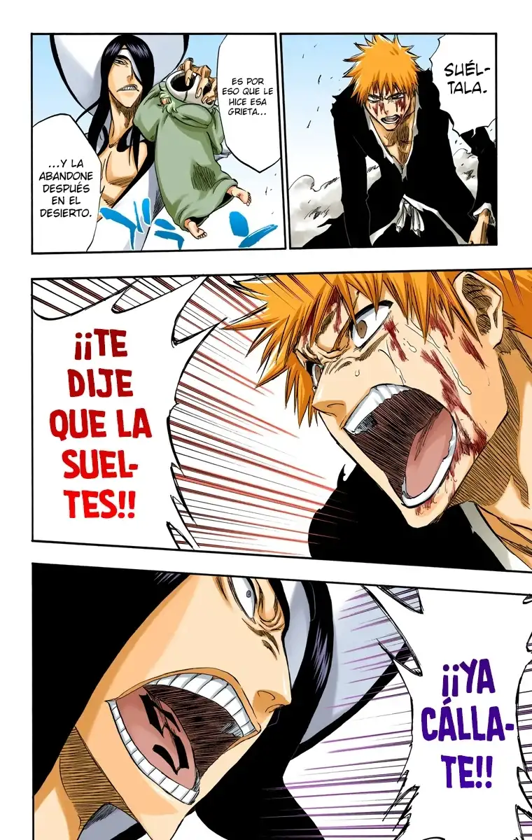 Bleach Capitulo 290 page 14