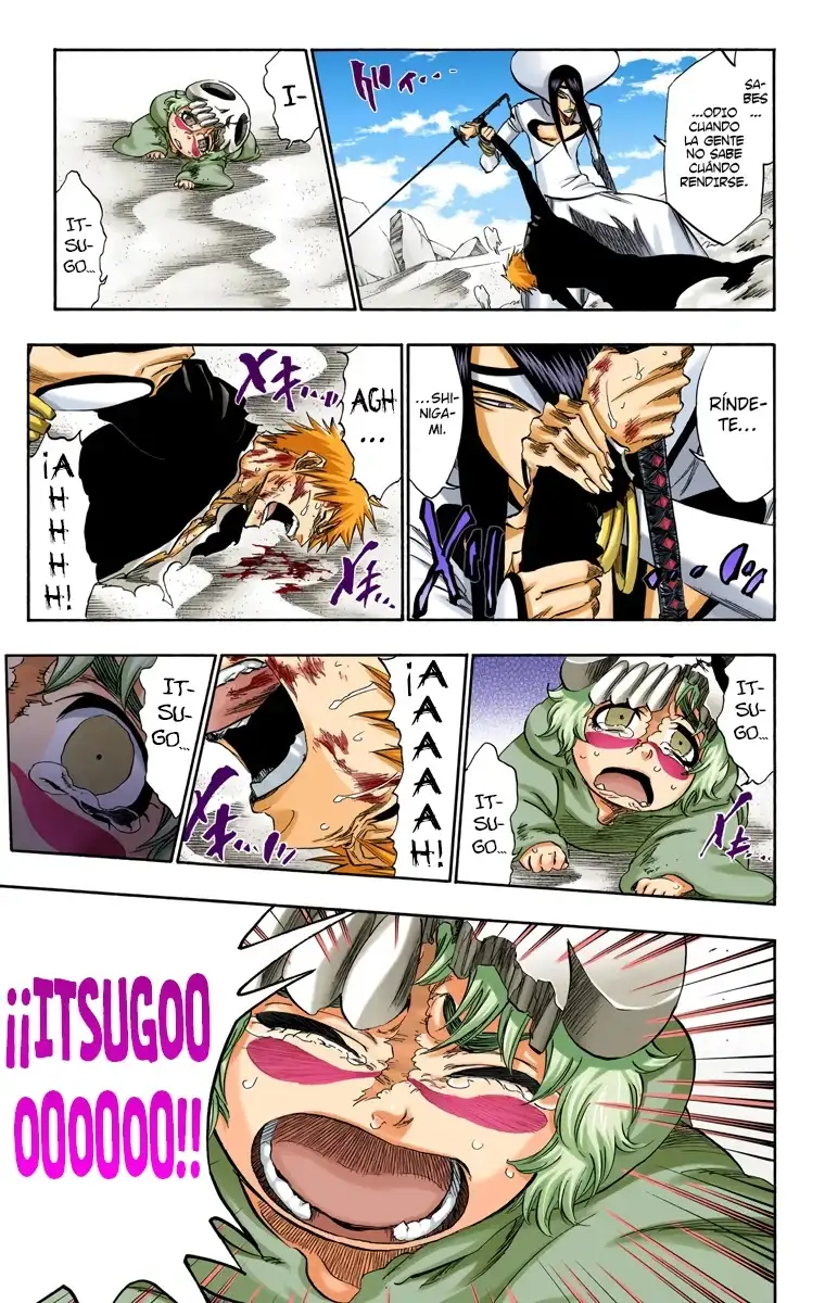Bleach Capitulo 290 page 17