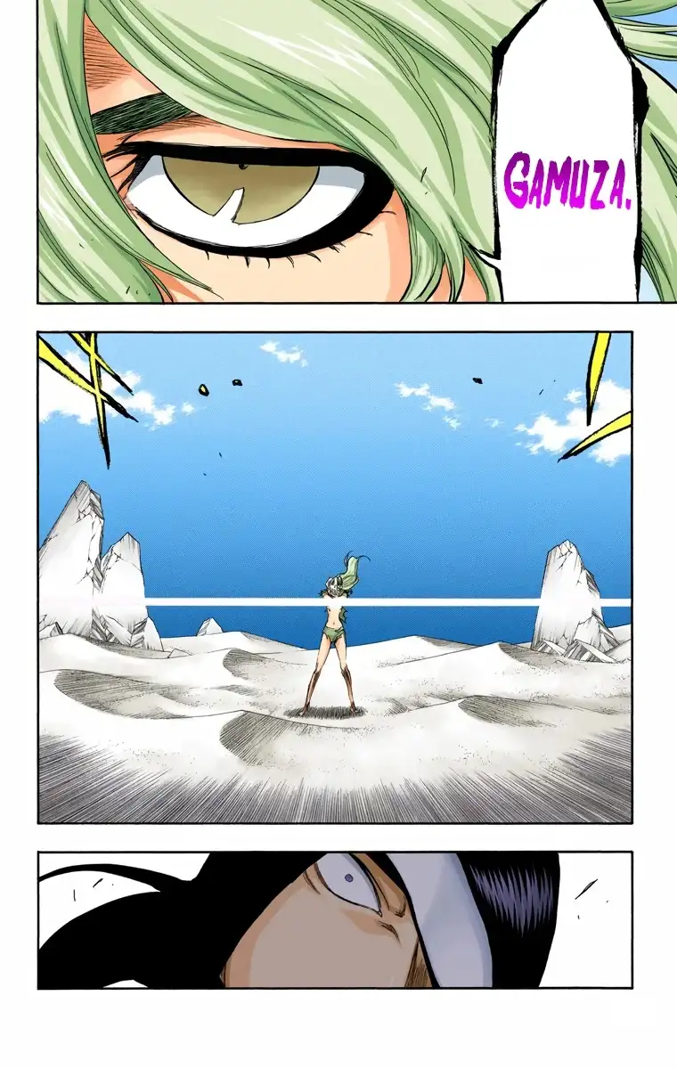 Bleach Capitulo 296 page 6