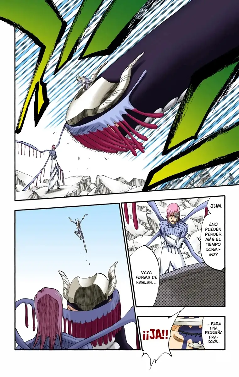 Bleach Capitulo 296 page 13